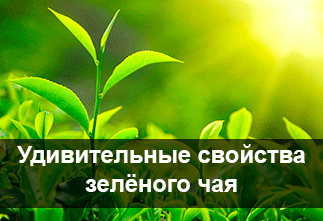 Amazing properties of green tea|Articles about tea