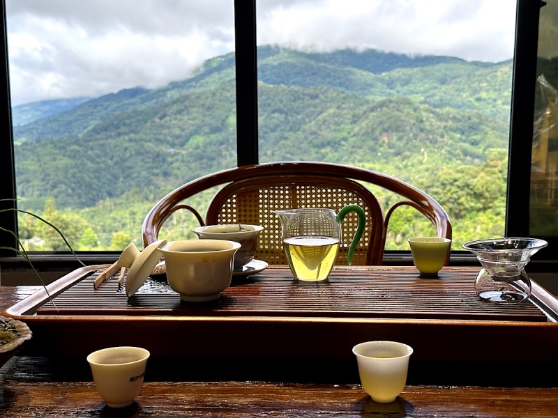 Why Pu-erh Tea Becomes More Astringent with Each New Steeping|Articles about tea