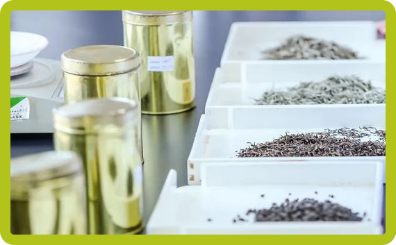 History of Tea Inspection in China|Articles about tea