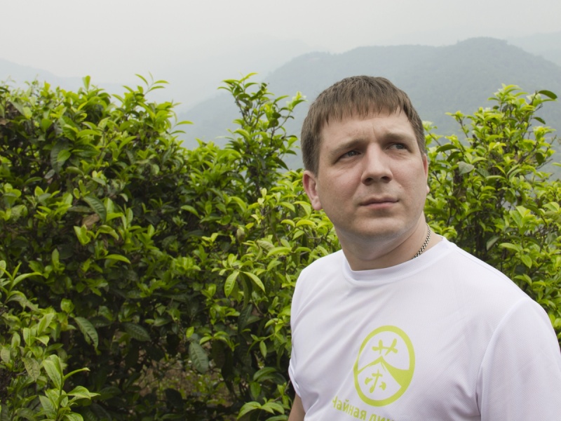 The difference between spring and summer puer|Articles about tea