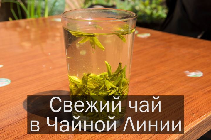 Fresh harvest 2018 Fresh harvest 2018