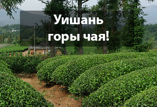 Pictures Wuyi Mountains - mountains of tea!