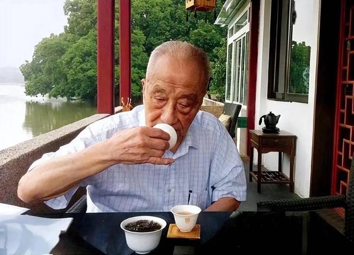 Green Tea and Brain Protection in Old Age|Articles about tea