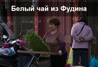 White tea from Fuding|Articles about tea