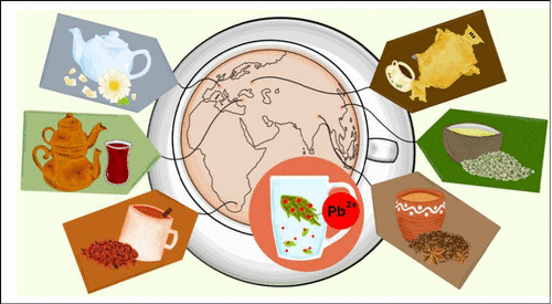 The Healing Power of Tea: How Brewing Tea Reduces Heavy Metals in Water|Articles about tea