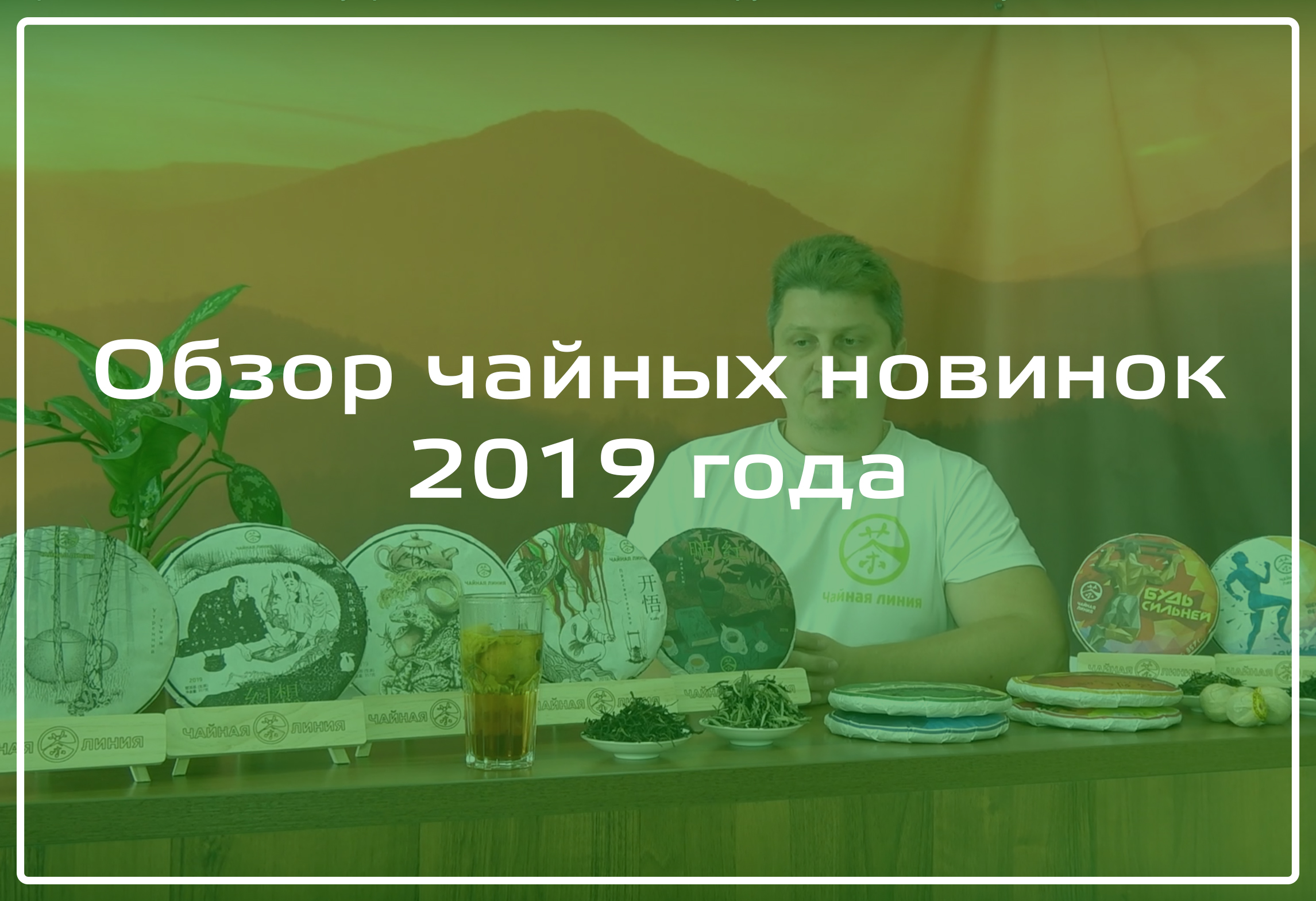 Photo Review of the new collection of pu-erhs from Tea Line and other new products purchased in the spring of 2019.