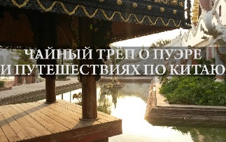 Photo Tea chatter about pu-erh and traveling in China