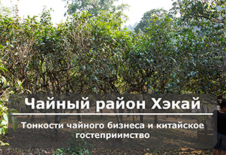Pictures Tea Mountains of Hekai. Features of the tea business and Chinese hospitality.