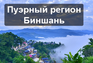 Photo Bingshan Tea Village (Mengku)