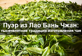 Photo Puer from Lao Ban Zhang: a thousand-year-old tradition of tea making