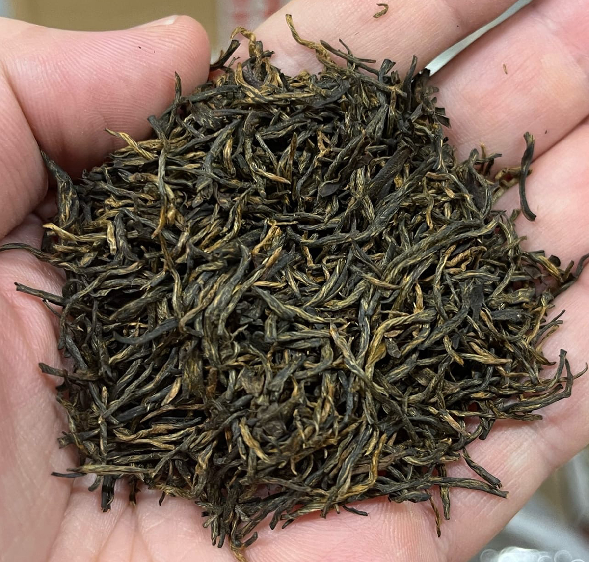 Red tea Гуйюань сян цзинь цзюнь мэй (Золотые брови с ароматом лонган)