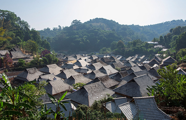 Tea Geography - Nogan is a village in the Jingmai Mountains