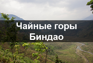 Photo Bindao Tea Region