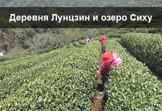Photo Longjing Village and West Lake