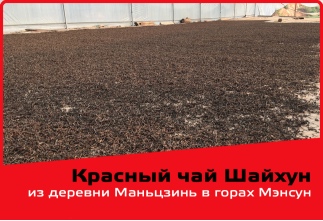 Photo Shaikhong Red Tea from Manjin Village in Mengsun Mountains