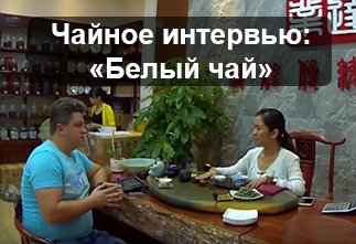 Photo Tea Interview: White Tea