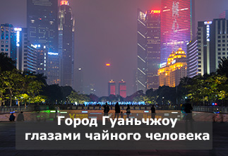 Pictures Guangzhou City Through the Eyes of a Tea Man