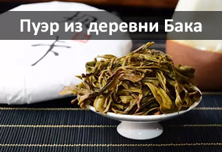 Photo Puer from Baka Village (Mengku)