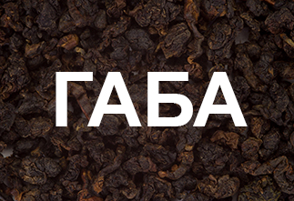 Photo GABA Tea: Health and Longevity Gifted by Nature Itself
