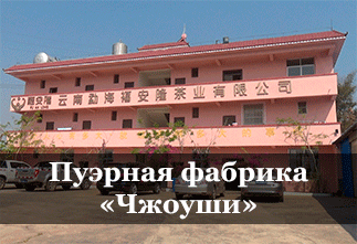 Photo Puer Factory "Zhoushi"