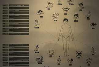 Pictures Medicinal properties of tea
