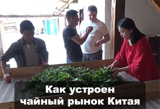 Photo How the Chinese tea market works