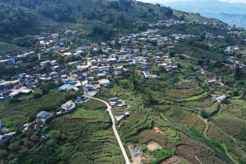 Tea Geography - Bano Tea Region
