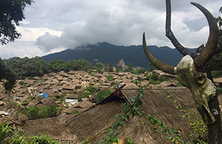 Photo Pu'er from the Hudong region (Mengku)