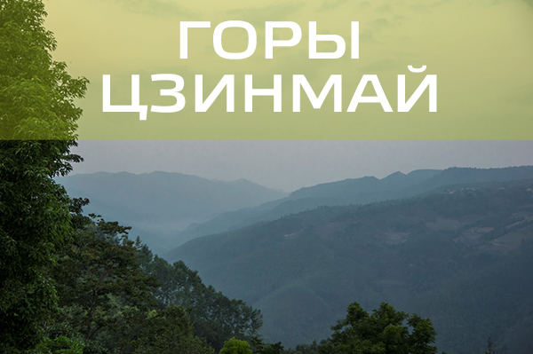 Tea Geography - Tea Region "Jingmai"