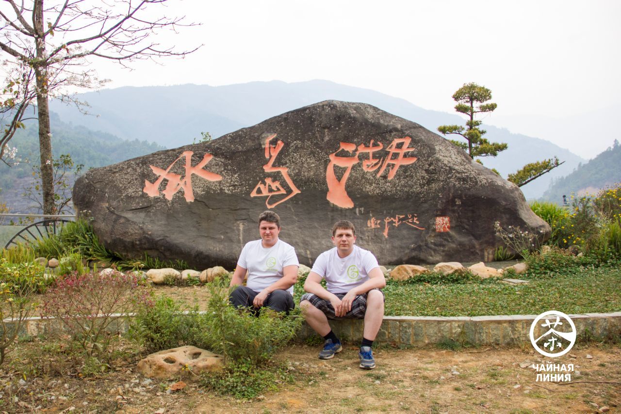 Tea Mountains of Bindao Чайные горы Биндао