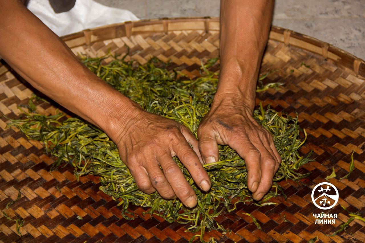 The process of hand rolling tea leaves Ручное производство шэн пуэра