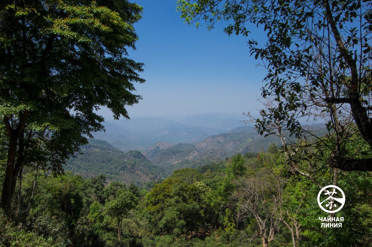 Yiwu Mountains Горы Иу