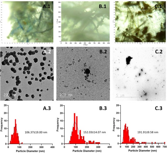 Microplastic particles Микрочастицы пластика