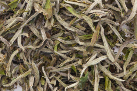 Buy, white tea Dagan Mudan Wang (Royal Peony of Dagan Village)