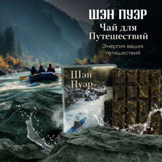 Pressed Raw Pu-erh Tea - Sheng pu-erh Travel tea "Raw pu-erh tea", 70 g