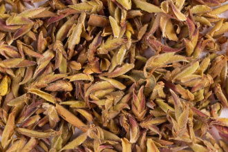 Loose Leaf Pu-erh Tea - Zi ya bao (Purple buds)., 