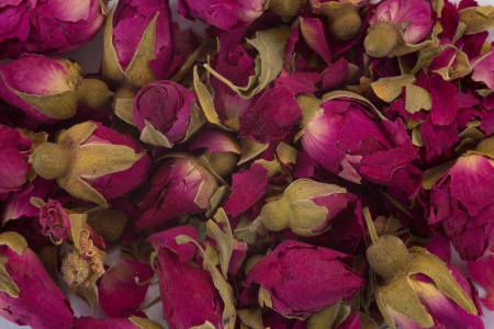 Red rose buds (hong meigui)|Flowers of plants