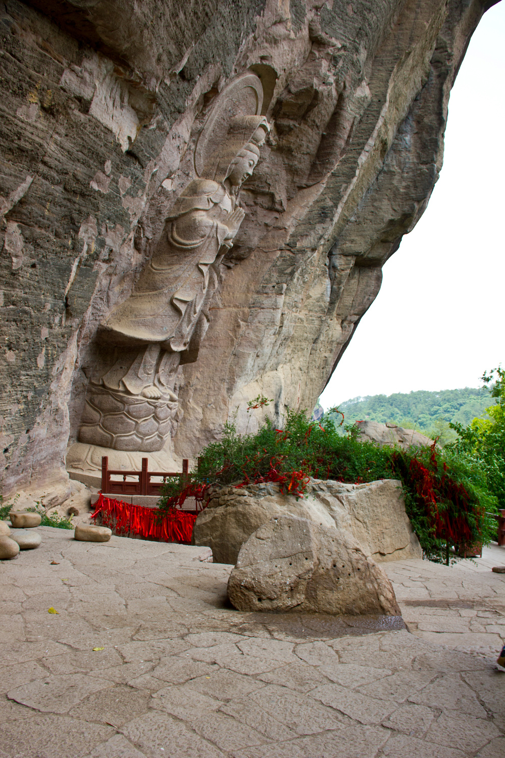 Tea region of the Wuyi Mountains