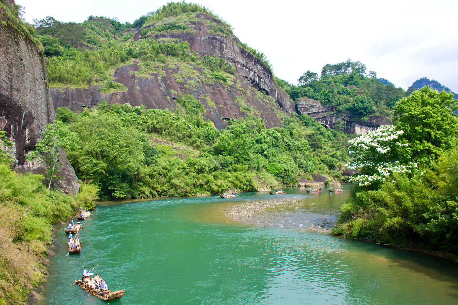 Tea region of the Wuyi Mountains