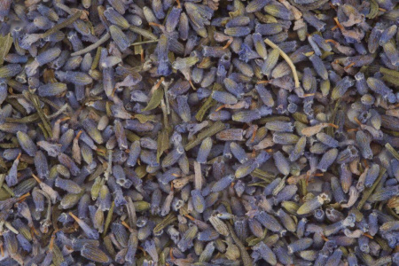 Lavender flowers (xunyicao hua)|Flowers of plants