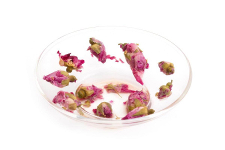 Red rose buds (hong meigui)|Flowers of plants