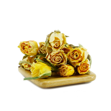 Buds of yellow Iranian rose|Flowers of plants