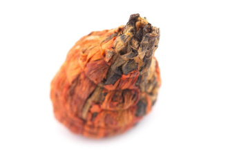 Bound tea "Baihe Baota" (Pagoda Lily)|Tied tea