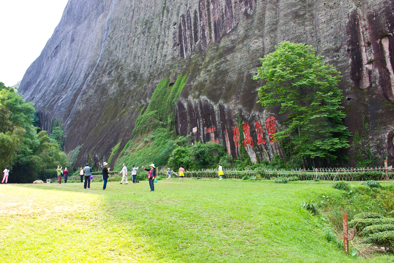 Tea region of the Wuyi Mountains