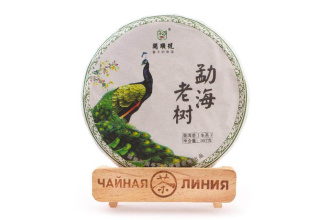 Pressed Raw Pu-erh Tea - Sheng pu-erh 2019 "Old Menghai Trees" brand "Kaishunhao" 357 g