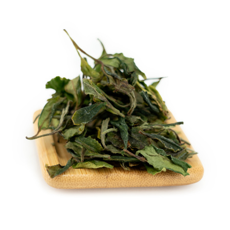 Buy, white tea Sochi April white tea tips