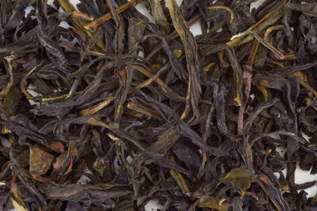 Gong Xiang Dancong (Fenghuang Dancong) Single bushes with the aroma of gong, art. CL-495., CL-495', CL-495