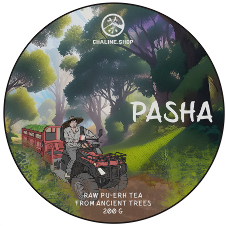 Pressed Raw Pu-erh Tea - Шэн пуэр со старых деревьев гор Паша марки "Чайная Линия" 200 г, 