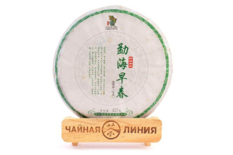 Pressed Raw Pu-erh Tea - Шэн пуэр 2015 г. «Ранняя мэнхайская весна» завода «Чашуван» 357 г.