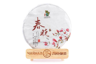 Pressed Rip Pu-erh Tea - Shu Puer 2017 “Spring Dawn” from Chashuwan plant 357 g